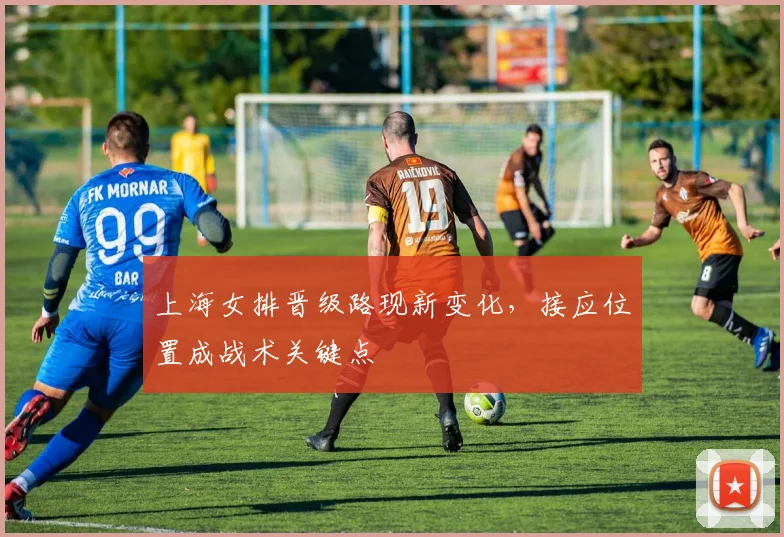 上海女排晋级路现新变化，接应位置成战术关键点