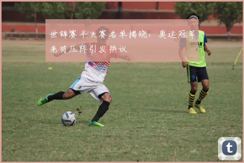 世锦赛半决赛名单揭晓,奥运冠军老将压阵引发热议